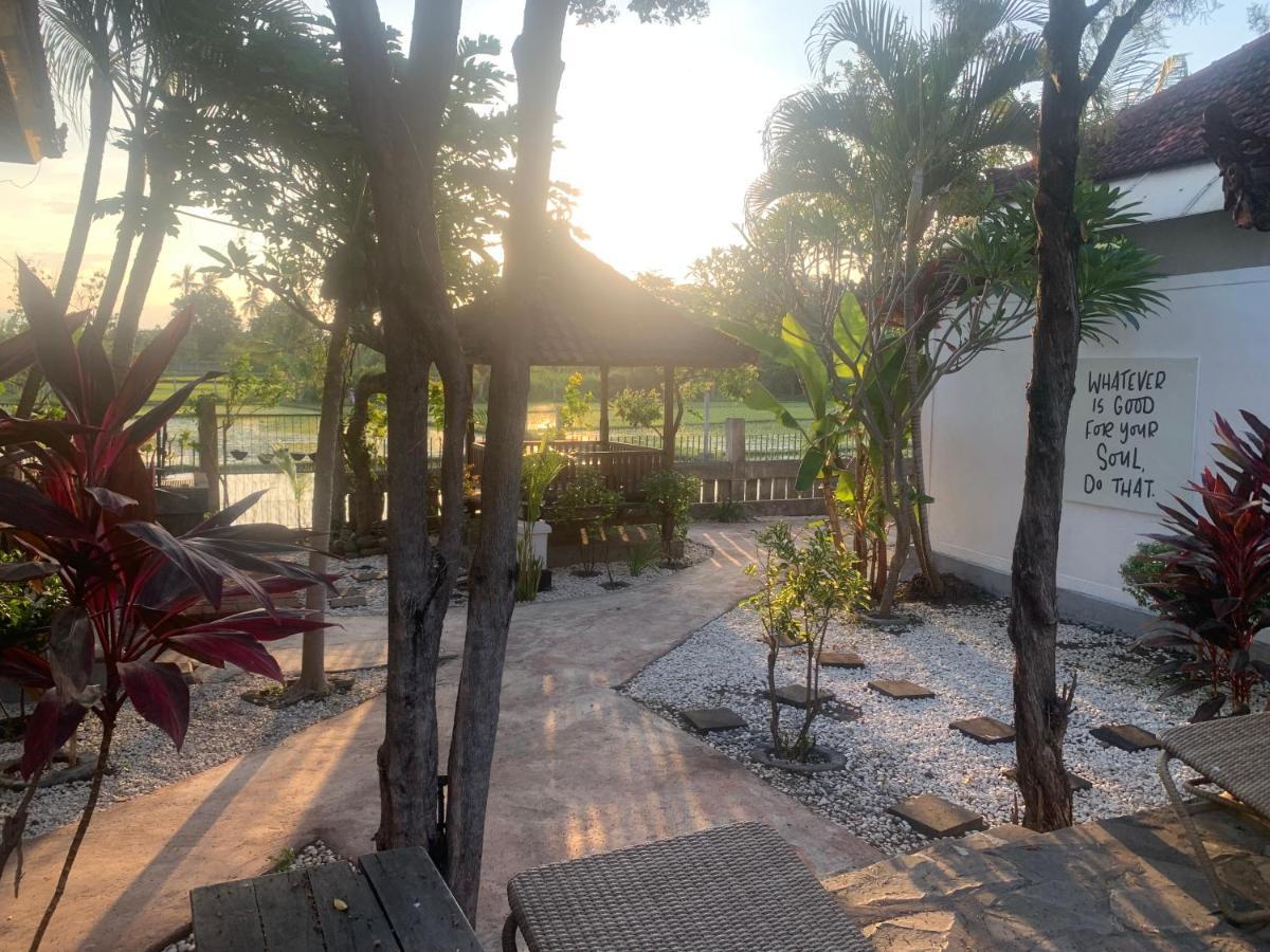 Lovina Vibes Hotel Balian Exterior photo